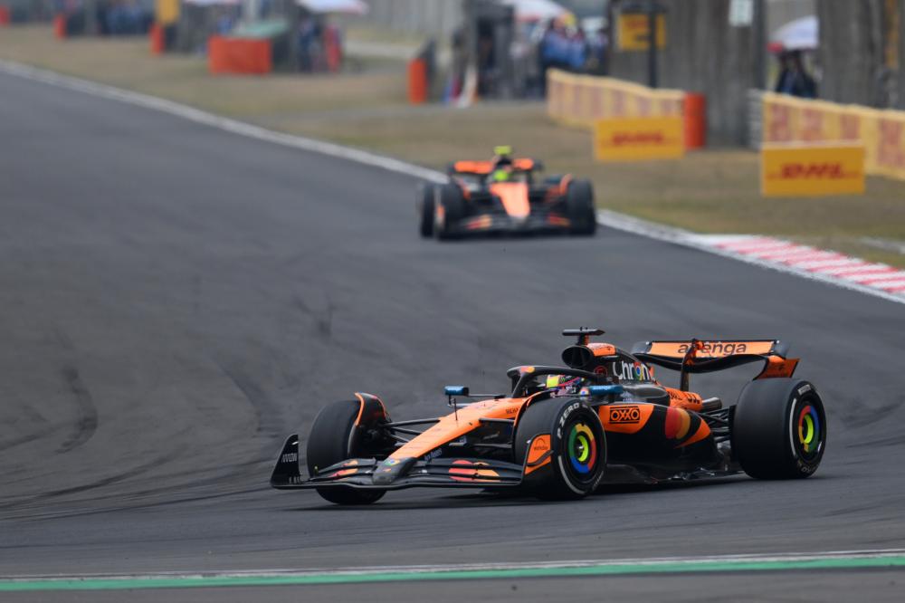 记者：阿根廷国家队已征召凯文-麦卡利斯特